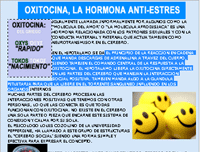 aoxitocina-la-hormona
